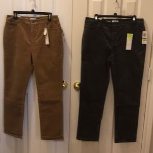 Charter Club gray pants w/free tan pair. 14P NWT